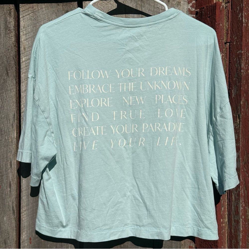 Women's Large American Eagle Outfitters AE Boxy Cropped Graphic T-Shirt Mint